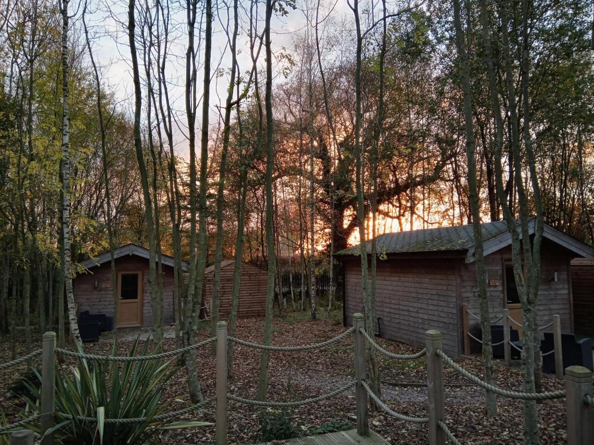 Riddings Wood Lodges 4*