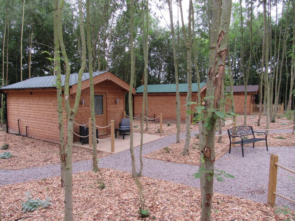Riddings Wood
