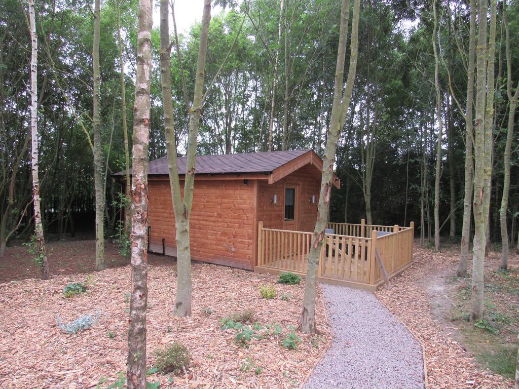 Camping Riddings Wood Alfreton