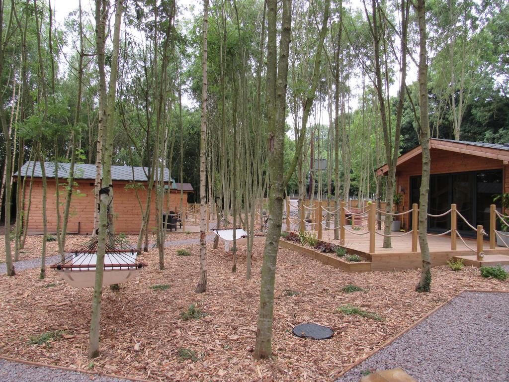 Riddings Wood